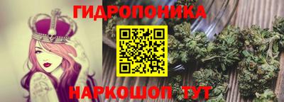 гидра Обнинск