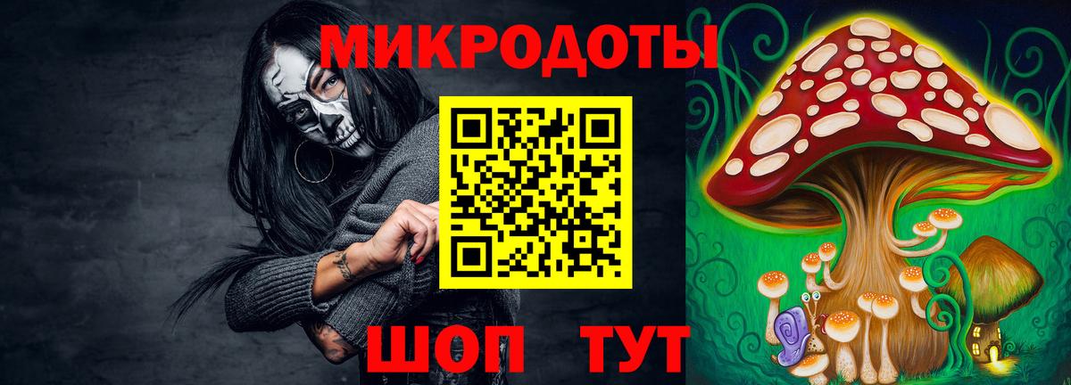Азнакаево  Псилоцибиновые грибы Psilocybe  как найти   Вход с VPN 